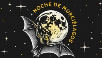 Murciélagos a la vista: SEDEMA abre campamento nocturno