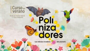 'Polinizadores al rescate': el curso de verano para las infancias curiosas por la naturaleza