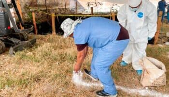 Amnistía Internacional urge al gobierno esclarecer hallazgo de fosa con 60 cuerpos en Morelos