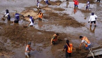Playas tóxicas: cómo el sargazo está envenenando el Caribe mexicano