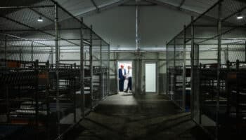 'Alligator Alcatraz' | Pese a críticas de condiciones inhumanas, llegan primeros migrantes