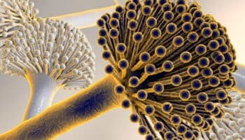 El cáncer repuntará como causa de muerte en las siguientes décadas: Estudio