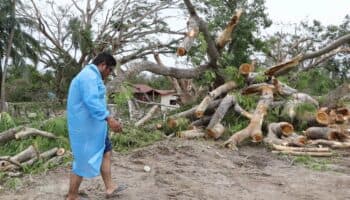 Determinará Corte IDH obligaciones de los Estados ante la crisis climática: AIDA