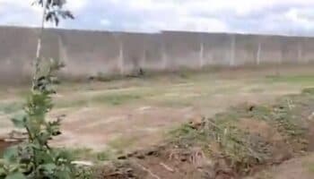 Hallan 211 bolsas con restos humanos en la fosa Las Agujas, Jalisco; la más grande del año