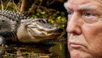 Confirma Sheinbaum detención de 14 mexicanos en 'Alligator Alcatraz'
