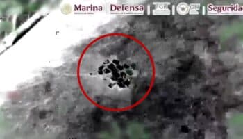 Video | Decomisan casi una tonelada de cocaína en Acapulco, Guerrero
