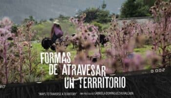 Formas de atravesar un territorio: una mirada a las mujeres tsotsiles