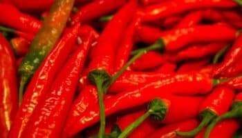 Comer picante podría resultar en menor incidencia de males cardiovasculares | Estudio