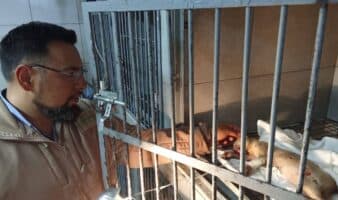 CDMX | Animalistas y autoridades rescatan a animales afectados por explosión en Iztapalapa