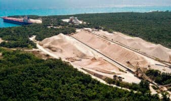 'La Selva Maya grita': Greenpeace exige frenar la devastación | Video