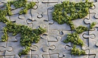 Desafíos ambientales 2026: Mongabay alerta sobre presupuesto raquítico y ataques a defensores