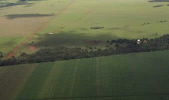 Los compromisos para reducir deforestación al 2030 aún están lejos de cumplirse | INFORME