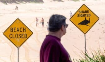 ¿Qué sucede en Sídney? Van 3 ataques de tiburón en poco más de 24 horas