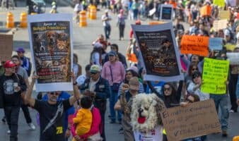 Animalistas marchan en Reforma por desalojo del Refugio Franciscano