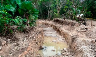 Juzgado concede suspensión definitiva que frena cambios de uso de suelo en 'Perfect Day Mahahual'