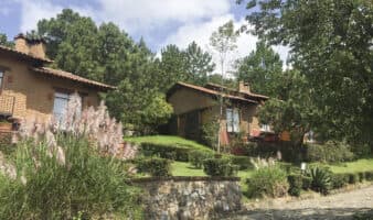 Lo mejor de Aristegui en Vivo: El lugar donde cayó 'El Mencho'; el país está en calma: Sheinbaum; cuatro años de la invasión rusa a Ucrania (24/02/2026)