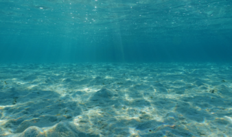 Hallan fósil de pez óseo más antiguo conocido; data de unos 436 millones de años