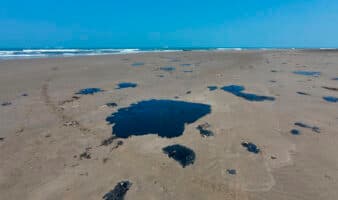 Greenpeace: sancionan a funcionarios por derrame en Golfo y “Pemex queda impune” | Comunicado