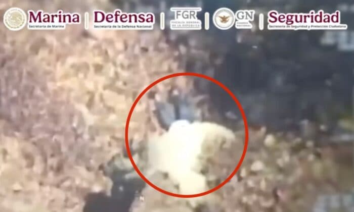 Operativo contra ‘El Jardinero’: seguimiento de 19 meses, inteligencia de EE. UU. y despliegue relámpago