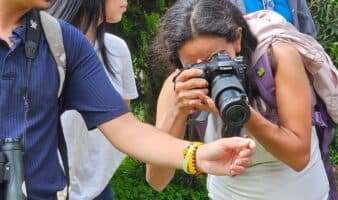 Reto Naturalista Primavera 2026: Documentar la vida silvestre