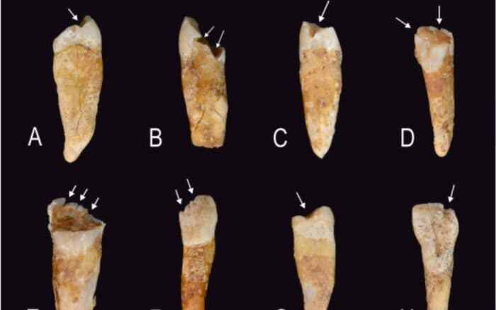 Marcas en los dientes revelan cómo se construían las identidades de género en la Prehistoria, según un estudio