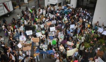Activistas, académicos y comunidades costeras celebran desecho de 'Perfect Day' de Mahahual