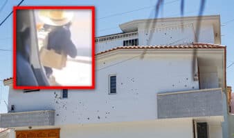 Difunden video que supuestamente muestra ataque a casa de Rocha Moya