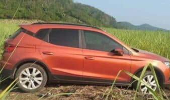 Asesinan a tres en Tuxtepec Oaxaca; hallan a niño con vida