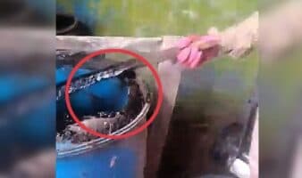 Jalisco | Buscadoras denuncian reactivación de presunto crematorio clandestino