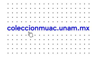 El MUAC digitaliza su acervo y lanza una plataforma gratuita