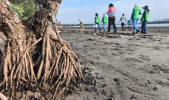 Exigen reparación integral a Pemex por contaminación con hidrocarburos en Salina Cruz