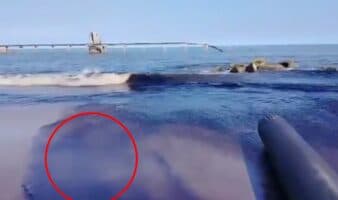 Pescadores denuncian nuevo derrame de petróleo en Salina Cruz, Oaxaca