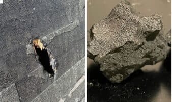 Meteorito que cayó en casa de EE.UU. revela datos sobre componentes fuera de la Tierra para la vida
