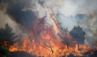Atenas sigue bajo amenaza por incendios forestales