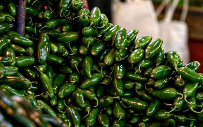 Cofepris descarta salmonela en chiles jalapeños empacados en Nuevo León