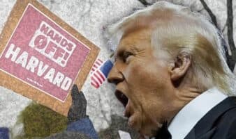 Revés para Trump: Corte de EE. UU. desestima la demanda contra Harvard por antisemitismo