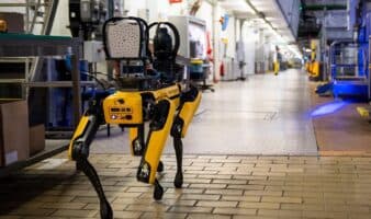 EE.UU. invertirá 2 millones de dólares en perros robots para ICE