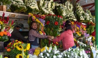 Rescatar la economía desde abajo | Texto por Mario Luis Fuentes