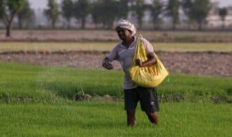 Los pesticidas ocasionan 11,000 muertes al año, el 60 % en la India, según estudio