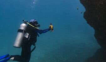 El mapa oculto del Golfo de México: ya van 125 arrecifes y ecosistemas submarinos descubiertos | Mongabay Latam