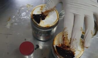 Aseguran ayahuasca en el AICM
