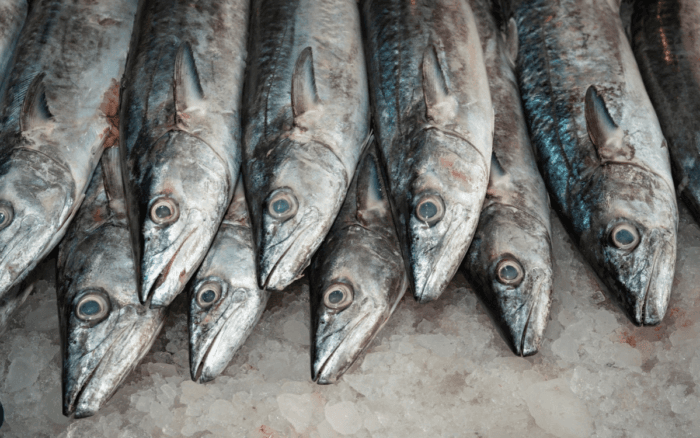Consumir pescados y mariscos puede beneficiar al planeta: Oceana