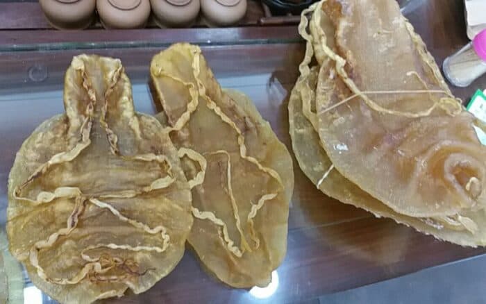 Tráfico de totoaba: sentencia millonaria por daños a la biodiversidad del Alto Golfo de California
