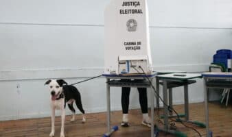 Cierran los colegios electorales en Brasil y empieza el recuento de votos