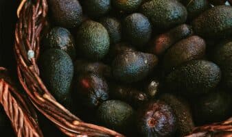 Sheinbaum anuncia acuerdos para fortalecer la producción de aguacate de exportación